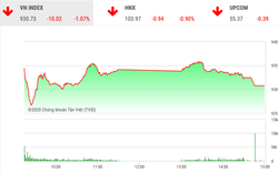 Chứng khoán ngày 10/2: VnIndex giảm hơn 10 điểm vì cổ phiếu ngân hàng