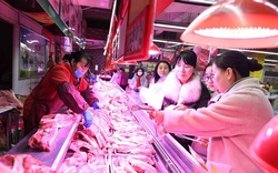 Giá thịt lợn Trung Quốc tăng gần 120% giữa dịch virus corona