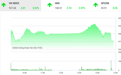 Thị trường chứng khoán ngày 12/2: CTG níu kéo đà tăng của VnIndex 