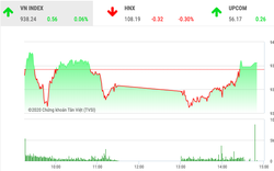 Chứng khoán ngày 13/2: VnIndex may mắn thoát hiểm