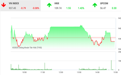 Chứng khoán ngày 14/2: VnIndex đi lùi vì VIC 