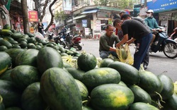 Công văn hỏa tốc về bán nông sản qua biên giới phía Bắc