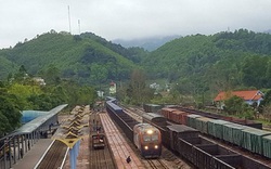 Lạng Sơn: Xuất khẩu 460 tấn thanh long qua ga Quốc tế Đồng Đăng