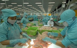 Mở cửa thị trường tối đa, rút ngắn cán cân thương mại Hoa Kỳ-Việt Nam