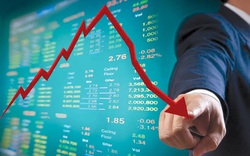 VN-Index giảm sâu, chỉ nhẹ hơn thị trường chứng khoán Hàn Quốc