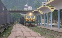 Thanh long đi đường sắt qua Trung Quốc: Thành công bất ngờ