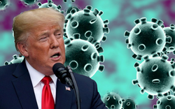 Chính quyền Donald Trump xin chi 2,5 tỷ USD chống dịch bệnh do virus corona 