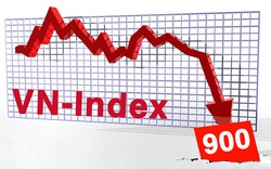Cổ phiếu ngân hàng nỗ lực, VN-Index vẫn "thủng" mốc 900 điểm