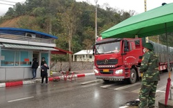 Đã thông quan 7.048 xe hàng qua các cửa khẩu biên giới Lạng Sơn 