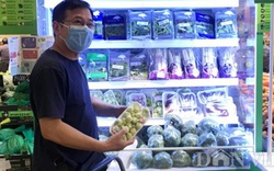 Rau ta mười nghìn không ăn, người Sài Gòn mua rau nhập 430.000 đ/kg