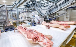 Nhập khẩu thịt vào Việt Nam có cần Hiệp định Thú y?