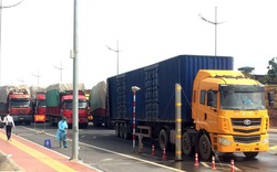 Quảng Ninh: Mở hơn 1000 tờ khai XNK qua cầu Bắc Luân II