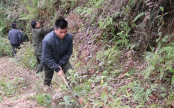 Thuận Châu chủ động phòng cháy, chữa cháy rừng mùa hanh khô