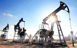 Giá dầu thế giới có thể chạm "đỉnh" thời gian tới
