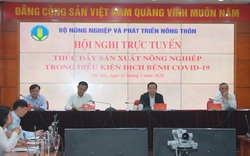 Nông nghiệp Việt tiếp tục "trầy da tróc vảy" vì Covid-19