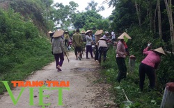 Hội Nông dân Tân Lạc: Nhiều hoạt động thiết thực trong xây dựng nông thôn mới 