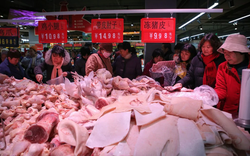 Nhà sản xuất thịt lợn Trung Quốc ăn mừng vì lãi đậm nhờ dịch virus corona