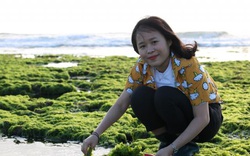 Ninh Thuận: Cánh đồng rêu cực lạ, chỉ xuất hiện 2 lần trong ngày