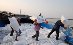 Lượng gạo xuất sang Trung Quốc trong năm nay có thể gấp đôi năm ngoái