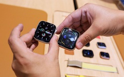 Apple được miễn thuế nhập khẩu Apple Watch sản xuất tại Trung Quốc