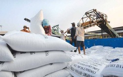 Tạm dừng xuất khẩu gạo