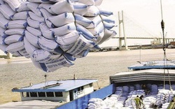 Bộ Công thương họp khẩn về nguồn cung và xuất khẩu gạo
