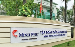 “Vua tôm” Minh Phú rót thêm gần 400 tỷ đồng vào hai công ty con