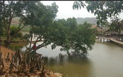 Nông thôn mới Sơn La: Từ miền núi nghèo trở thành những vùng quê đáng sống 