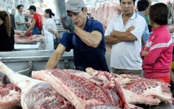 Thủ tướng: Giá lợn hơi tăng cao, yêu cầu 3 Bộ có báo cáo