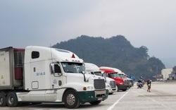 Lạng Sơn: Đội lái xe đưa hàng xuất khẩu sang Trung Quốc chính thức vận hành 
