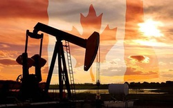 G20 kêu gọi bình ổn thị trường dầu, Canada từ chối cam kết cắt giảm sản lượng