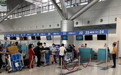 Các hãng hàng không tăng tần suất bay Hà Nội - TP.HCM