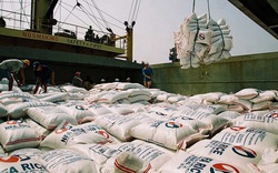 Lập đoàn kiểm tra xuất khẩu gạo