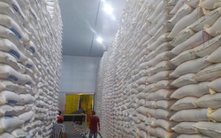 Đồng Tháp kiến nghị Thủ tướng tháo gỡ khó khăn cho doanh nghiệp xuất khẩu gạo