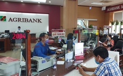 Các đơn vị Agribank khu vực Tây Nam bộ: Chủ động phòng chống dịch, đảm bảo hoạt động kinh doanh