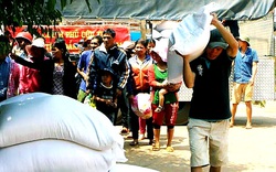 Hỗ trợ gần 880 tấn gạo cho người dân Cao Bằng trong mùa giáp hạt 2020