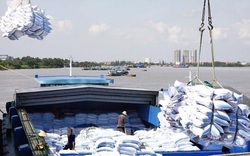 Đề xuất giải pháp tháo gỡ vướng mắc về hạn ngạch xuất khẩu gạo