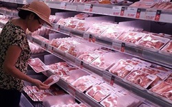 Năm 2020, có thể nhập 50 tấn thịt lợn từ Nga