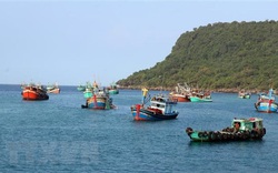 Hải sản rớt giá, ngư dân Quảng Ngãi vẫn kiên cường bám biển
