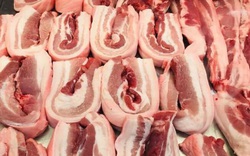 Giá heo hơi hôm nay 7/4: Trung Quốc đề xuất nuôi lợn ở nước ngoài do thiếu thịt