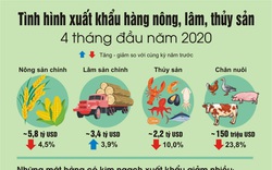 Xuất khẩu hàng nông, lâm, thủy sản 4 tháng đầu năm 2020: Vẫn có nhiều điểm sáng