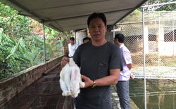 Bắc Ninh: Nuôi con đặc sản, nhẹ công mà lãi cao