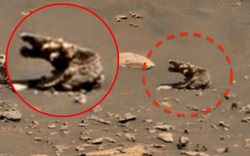 Phát hiện bức tượng kỳ lạ trên sao Hỏa, có thể là sinh vật sống