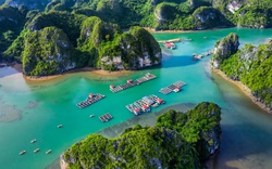 Quảng Ninh: Quy hoạch Khu nuôi trồng thủy sản ngoài vùng lõi Vịnh Hạ Long