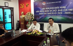 1 Ủy viên BCH VFF không đồng ý với "luật lạ" V.League 2020