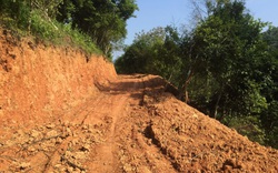 Chủ tịch xã “tạo điều kiện xẻ thịt” rừng phòng hộ ở Lạng Sơn