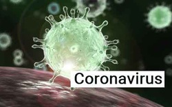 Chuyên gia nêu quá trình virus hóa lạ lùng chưa từng thấy như Covid-19