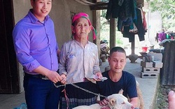 Cụ bà người Mông khóc thương khi phải bán chó, thanh niên vượt 140km tặng lại bà