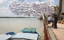 Xuất khẩu gạo: 39 doanh nghiệp chỉ gom được 70% 