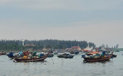 
Đà Nẵng: Ô nhiễm môi trường vì tàu cá công suất lớn neo đậu, buôn bán hải sản không đúng vị trí